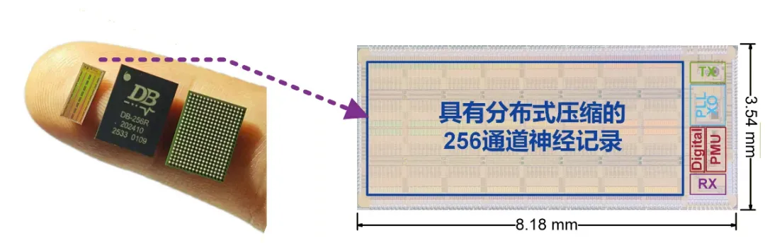 图1.png 图1.png