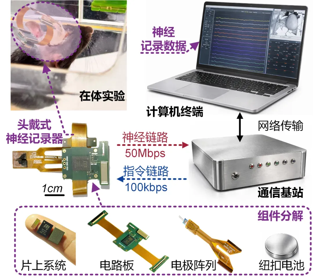 图2.png 图2.png